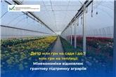 До 10 млн грн на сади і до 7 млн грн на теплиці: Мінекономіки відновлює грантову підтримку аграріїв
