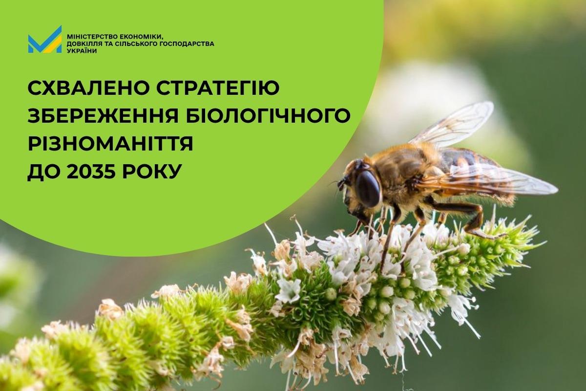 Схвалено Стратегію збереження біологічного різноманіття до 2035 року