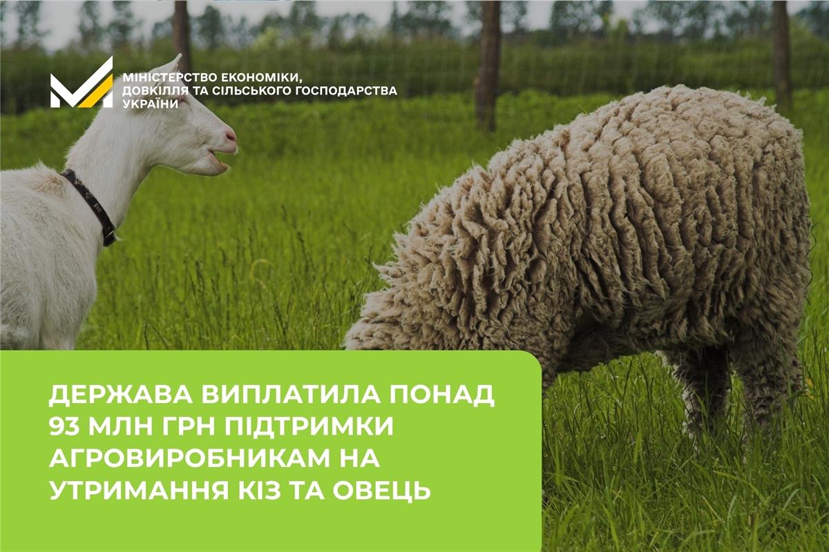 Держава виплатила понад 93 млн грн підтримки агровиробникам на утримання кіз та овець