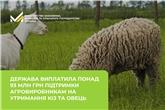 Держава виплатила понад 93 млн грн підтримки агровиробникам на утримання кіз та овець