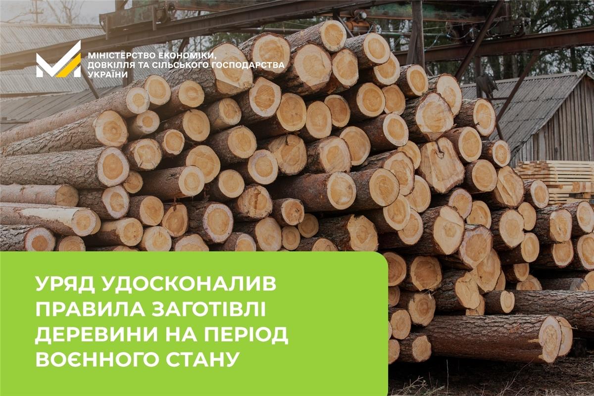 Уряд удосконалив правила заготівлі деревини на період воєнного стану 