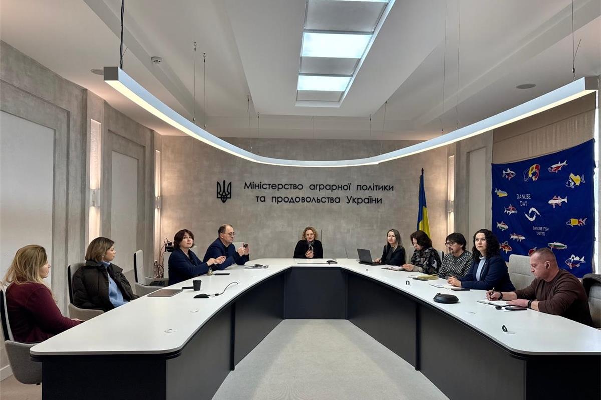 Україна формує стратегічну рамку розвитку Дунайського регіону 