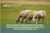 Запрошуємо на безкоштовний онлайн-семінар щодо впровадження вимог ЄС з благополуччя овець і кіз