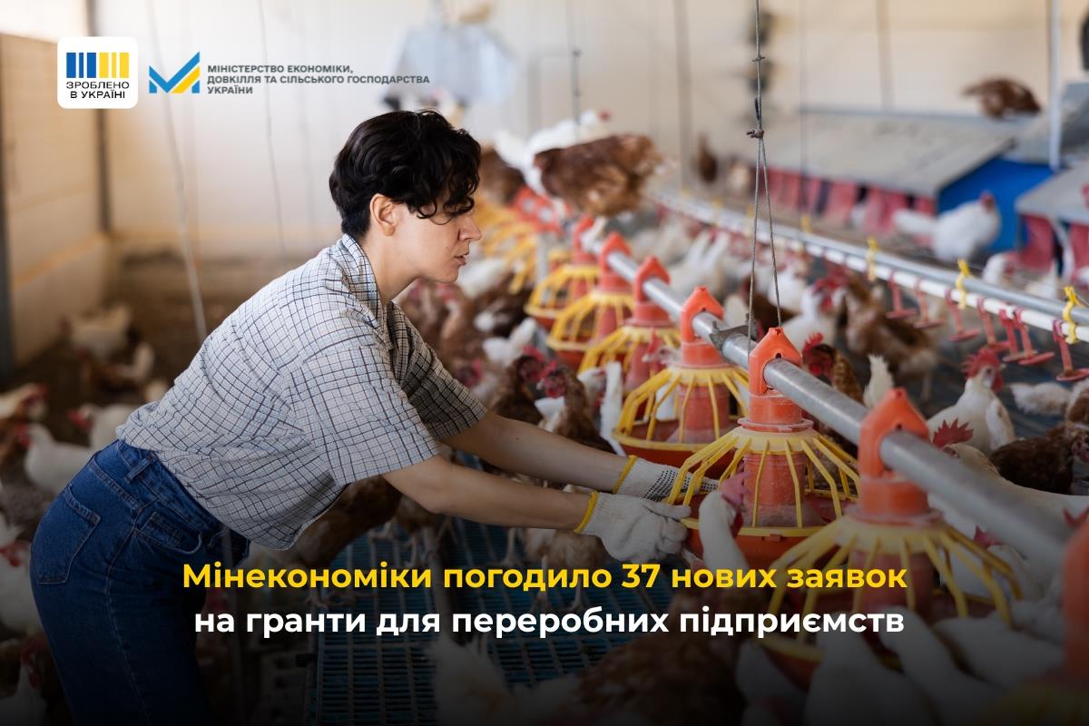 Зроблено в Україні: Мінекономіки погодило 37 нових заявок на гранти для переробних підприємств