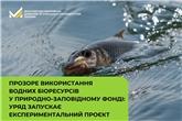 Прозоре використання водних біоресурсів у природно-заповідному фонді: Уряд запускає експериментальний проєкт 