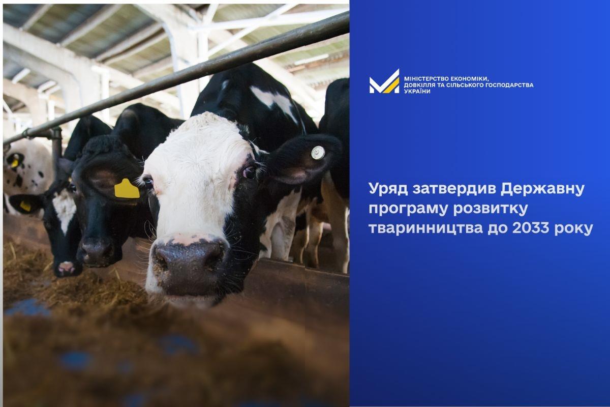 Уряд затвердив Уряд затвердив Державну програму розвитку тваринництва до 2033 року