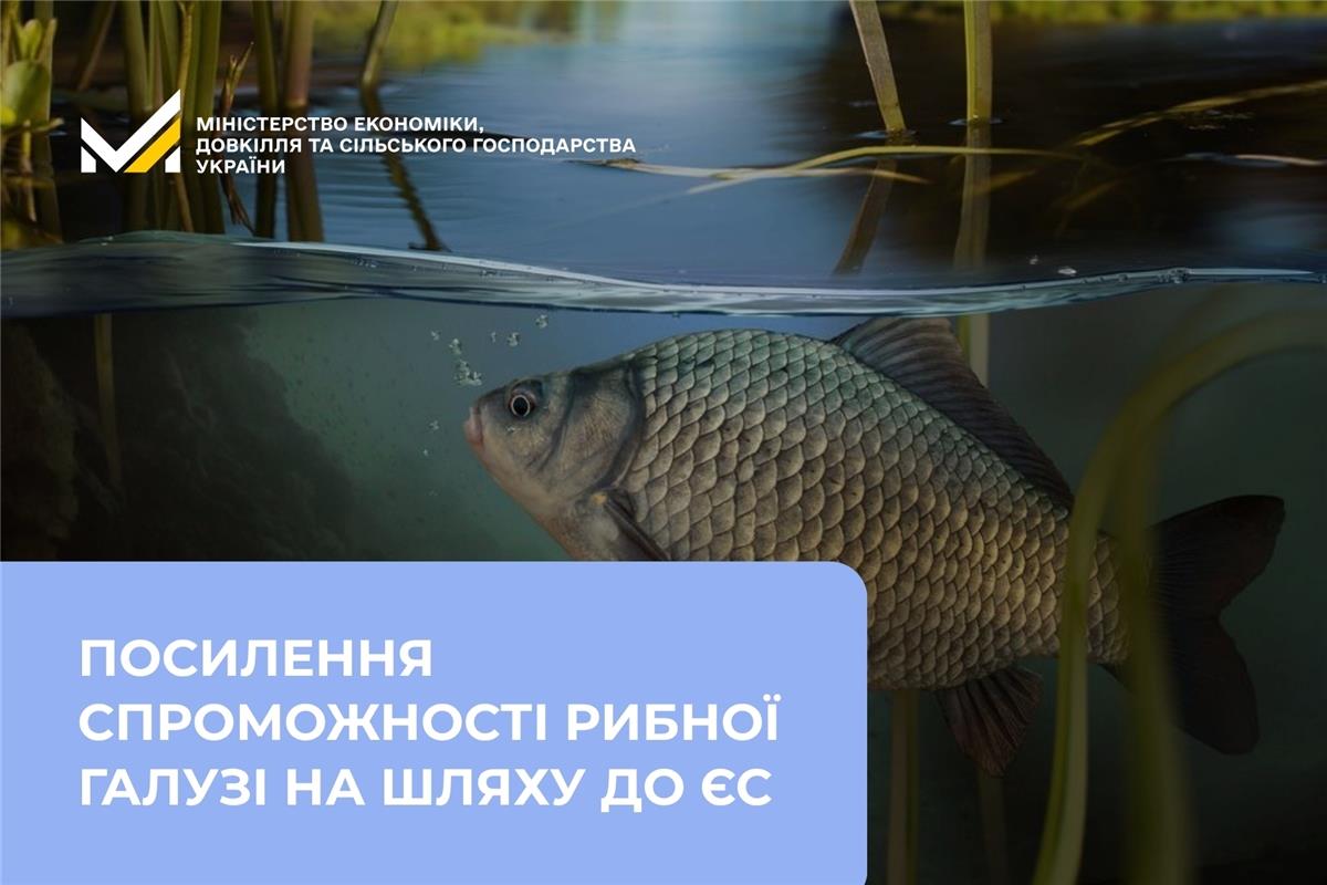 Посилення спроможності рибної галузі на шляху до ЄС: в Одесі відбувся діалог держави та бізнесу