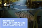 Посилення спроможності рибної галузі на шляху до ЄС: в Одесі відбувся діалог держави та бізнесу