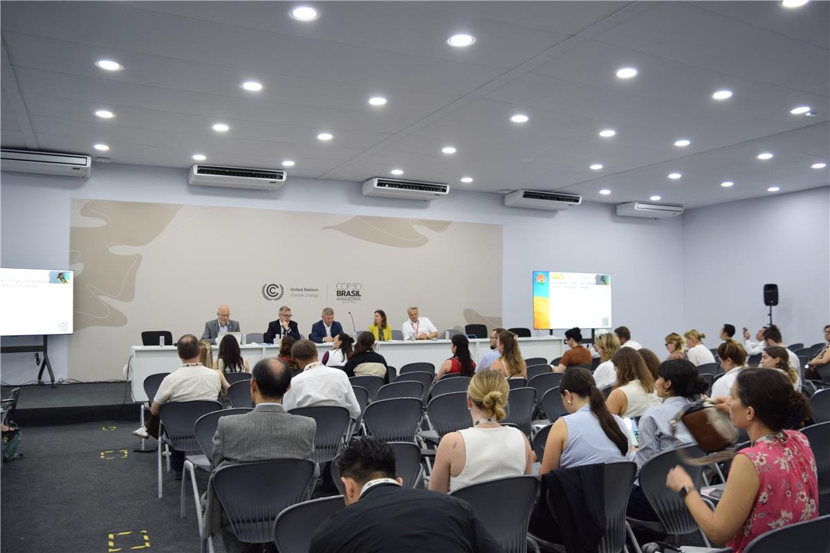 Результати України на СОР30: коротко про головне

Ukraine’s outcomes at COP30: key highlights