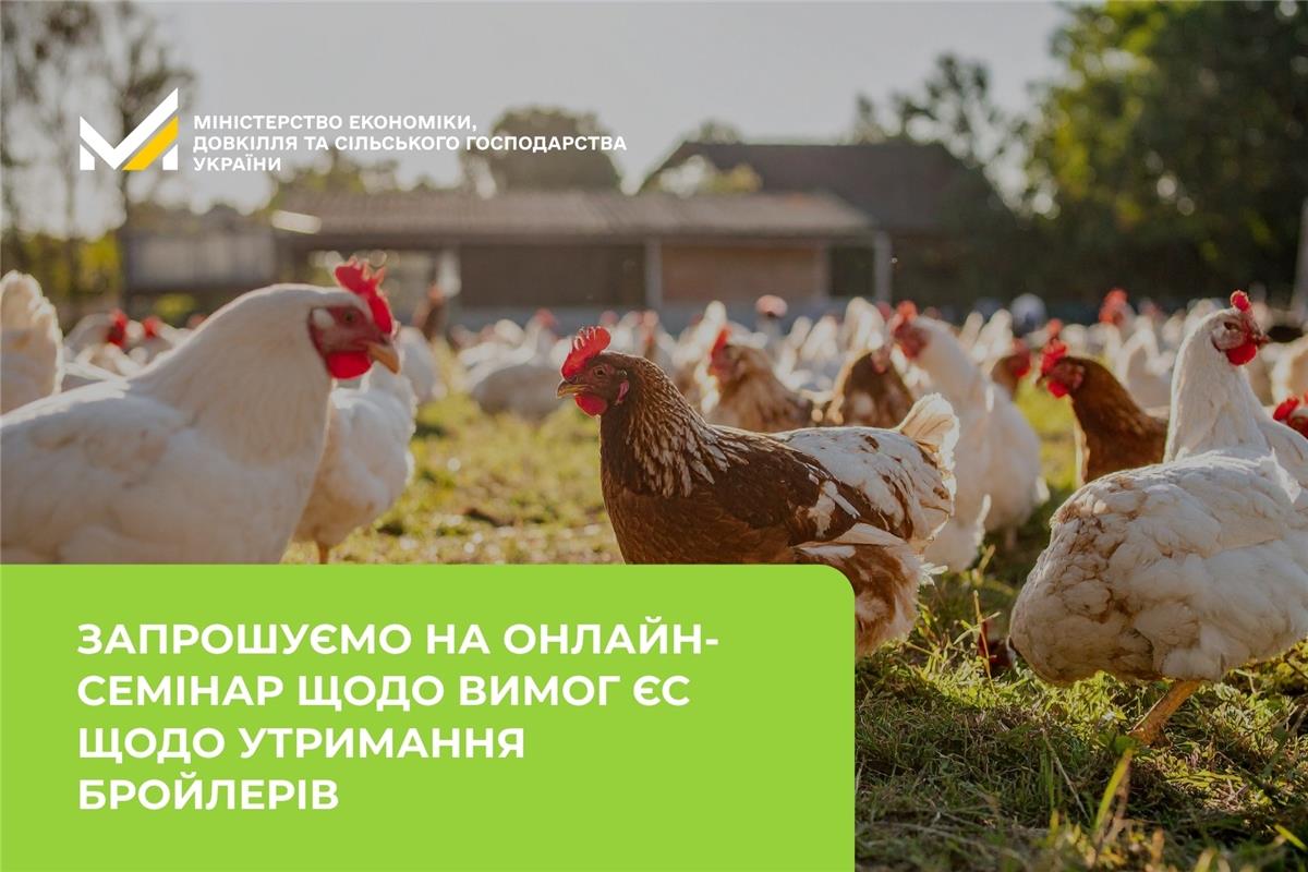 Запрошуємо на онлайн-семінар щодо вимог ЄС щодо утримання бройлерів
