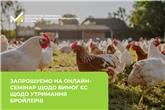Запрошуємо на онлайн-семінар щодо вимог ЄС щодо утримання бройлерів