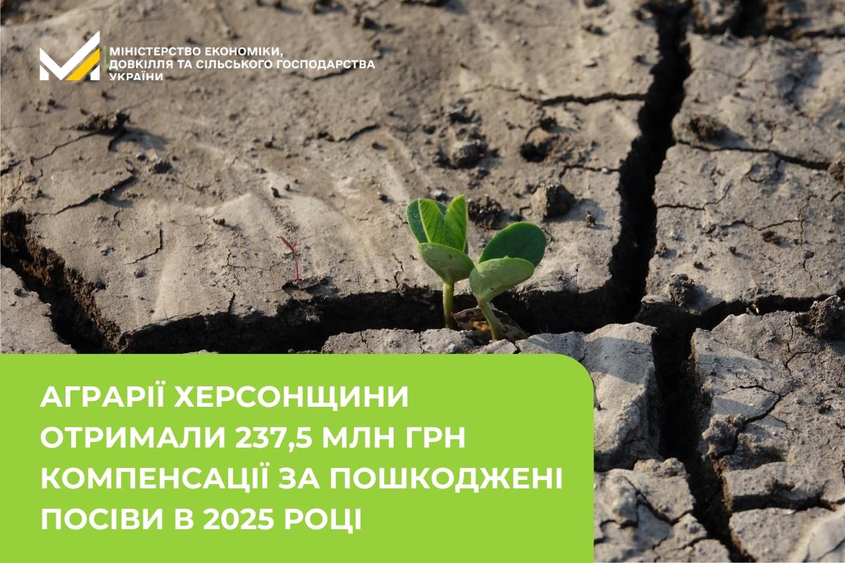 Аграрії Херсонщини отримали 237,5 млн грн компенсації за пошкоджені посіви в 2025 році