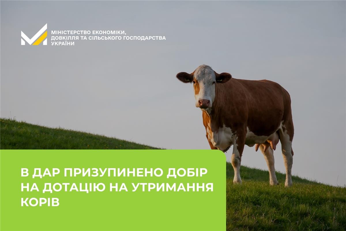 В ДАР призупинено добір на дотацію на утримання корів