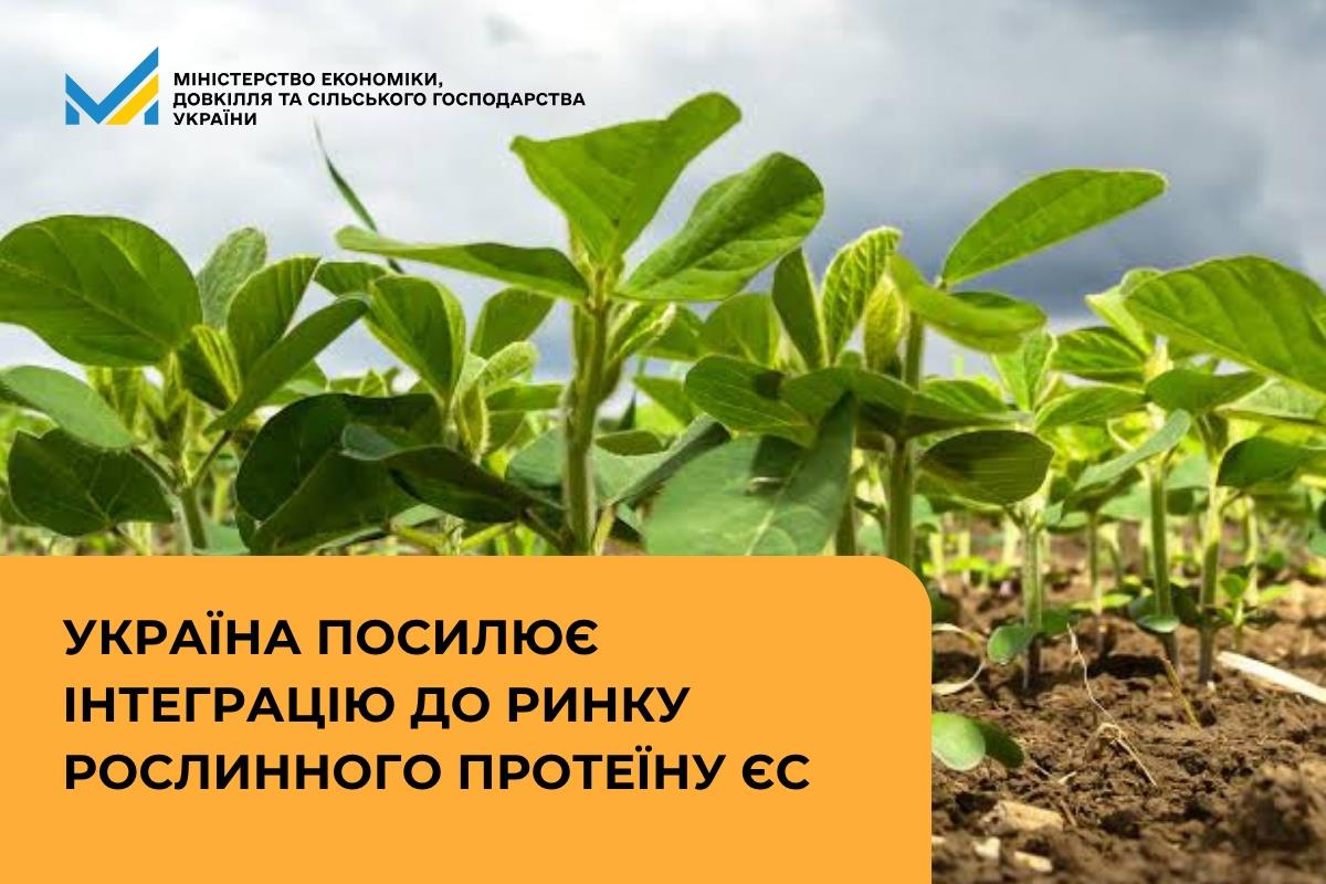 Україна посилює інтеграцію до ринку рослинного протеїну ЄС
