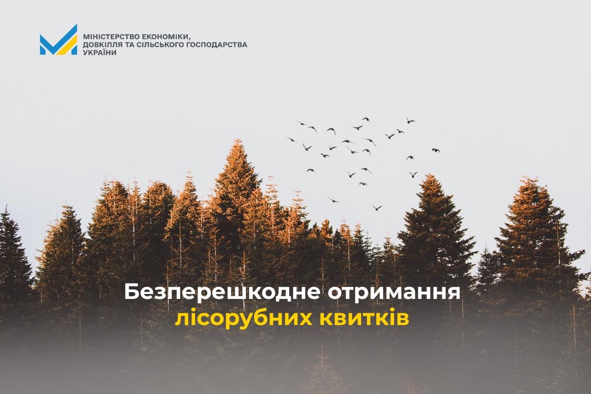 Безперешкодне отримання лісорубних квитків під час реорганізації підприємств