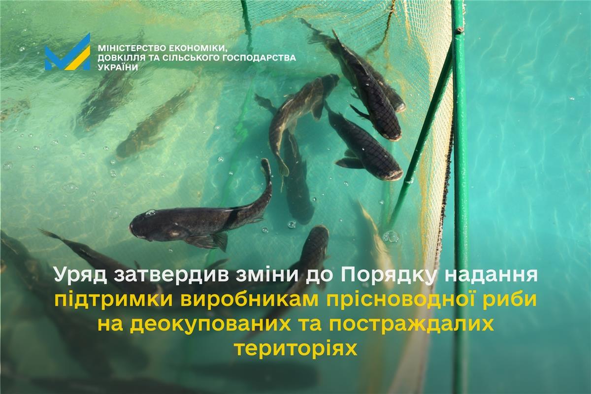 Уряд затвердив зміни до Порядку надання підтримки виробникам прісноводної риби на деокупованих та постраждалих територіях