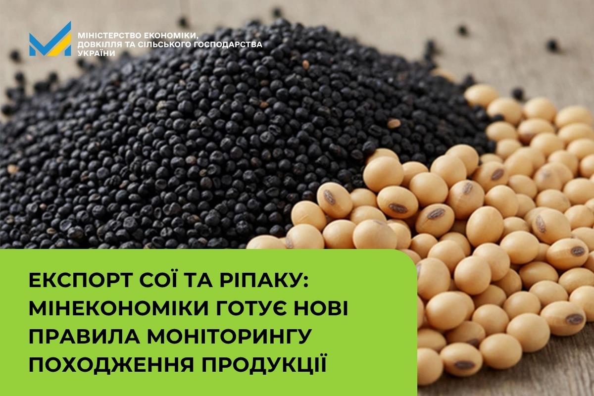 Експорт сої та ріпаку: Мінекономіки готує нові правила моніторингу походження продукції 