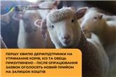 Першу хвилю держпідтримки на утримання корів, кіз та овець призупинено – після опрацювання заявок оголосять новий прийом на залишок коштів