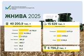 Жнива 2025: щотижнева статистика