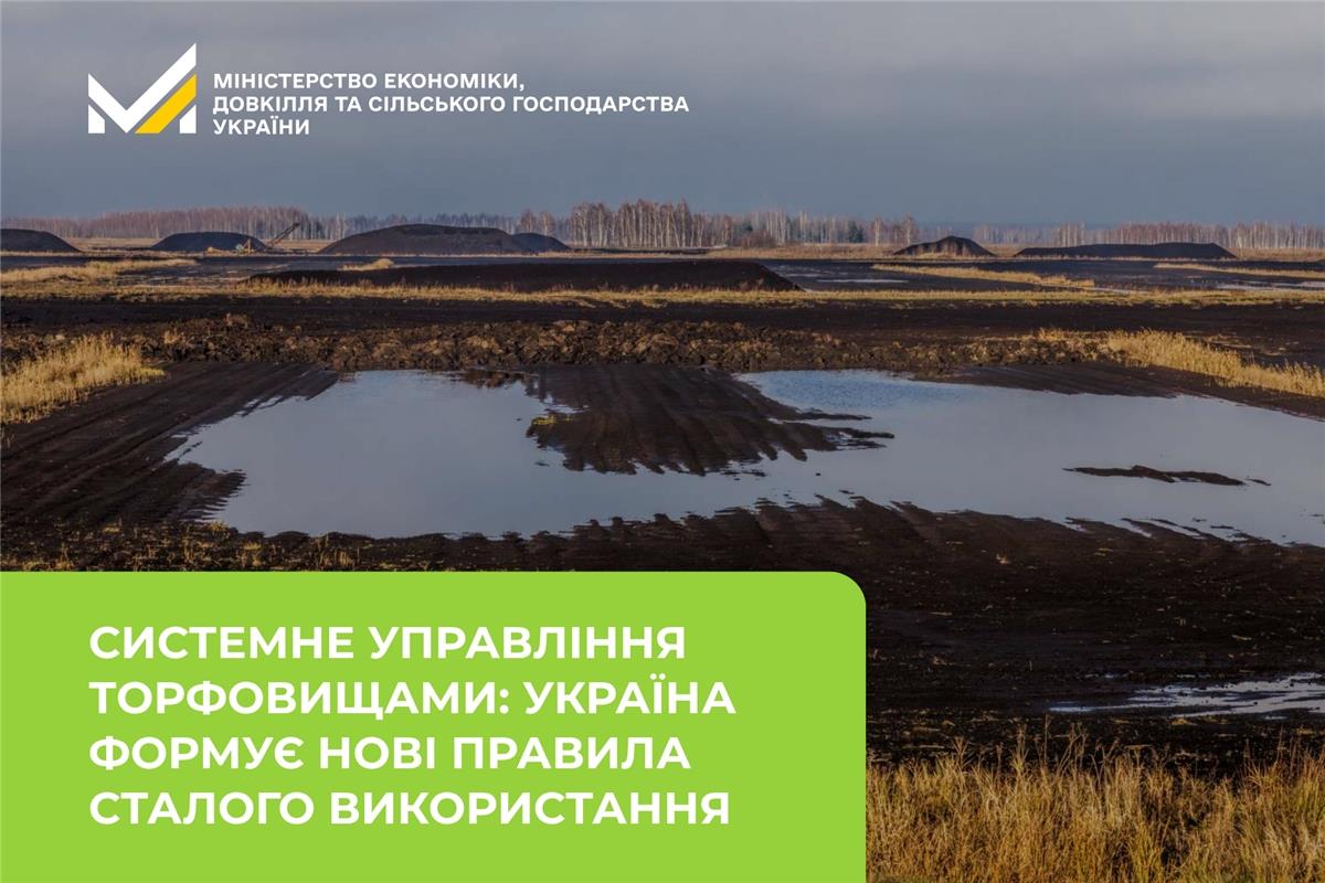 Системне управління торфовищами: Україна формує нові правила сталого використання
