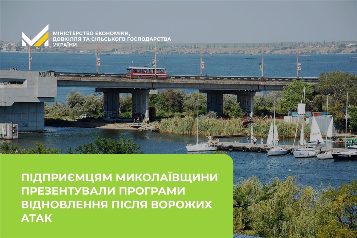 Підприємцям Миколаївщини презентували програми відновлення після ворожих атак
