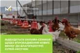 Відбудеться онлайн-семінар щодо впровадження нових вимог до благополуччя курей-несучок