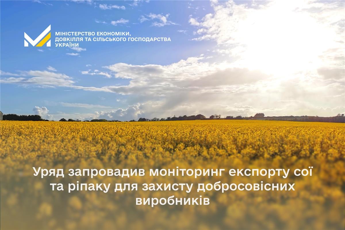 Уряд запровадив моніторинг експорту сої та ріпаку для захисту добросовісних виробників