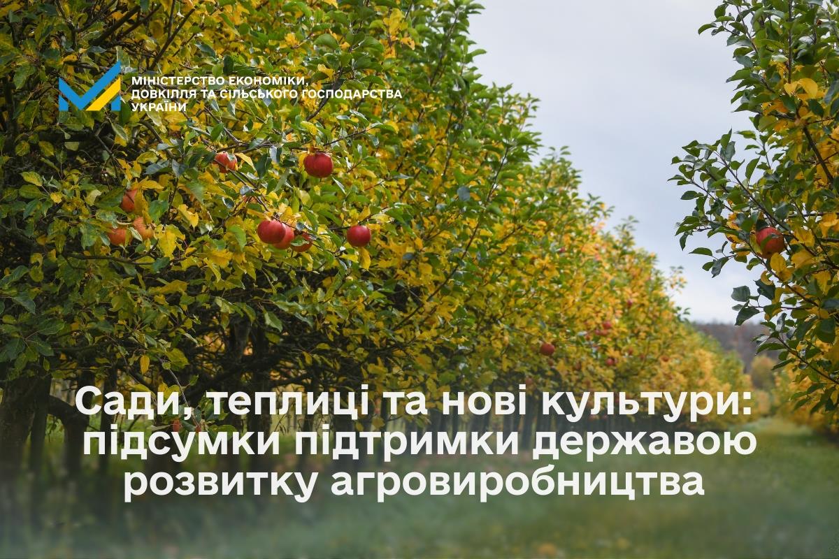 Сади, теплиці та нові культури: підсумки підтримки державою розвитку агровиробництва 