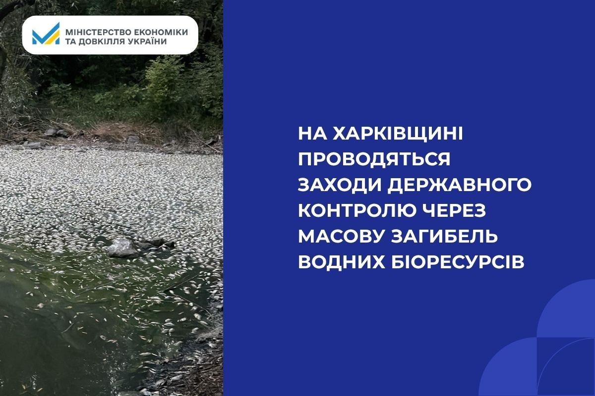 На Харківщині проводяться заходи державного контролю через масову загибель водних біоресурсів