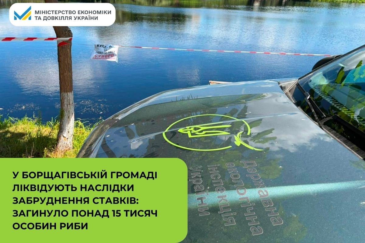 У Борщагівській громаді ліквідують наслідки забруднення ставків: загинуло понад 15 тисяч особин риби