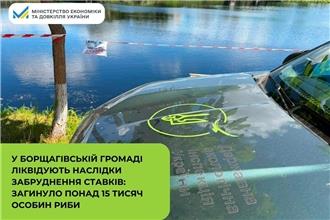 У Борщагівській громаді ліквідують наслідки забруднення ставків: загинуло понад 15 тисяч особин риби