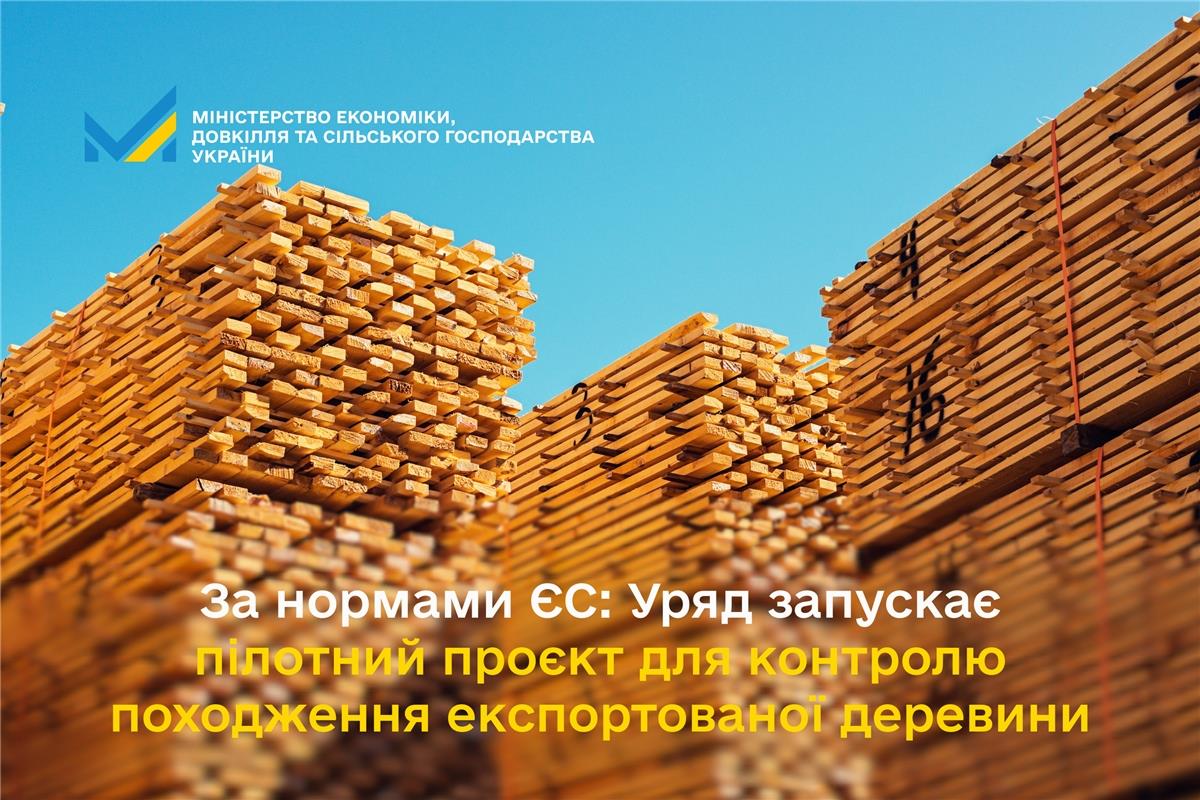 За нормами ЄС: Уряд запускає пілотний проєкт для контролю походження експортованої деревини