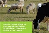 В ДАР стартує добір на спеціальні бюджетні дотації на утримання корів, кіз та овець  