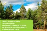 Землі з природним залісненням: громади отримують нові можливості для розвитку і збереження лісів
