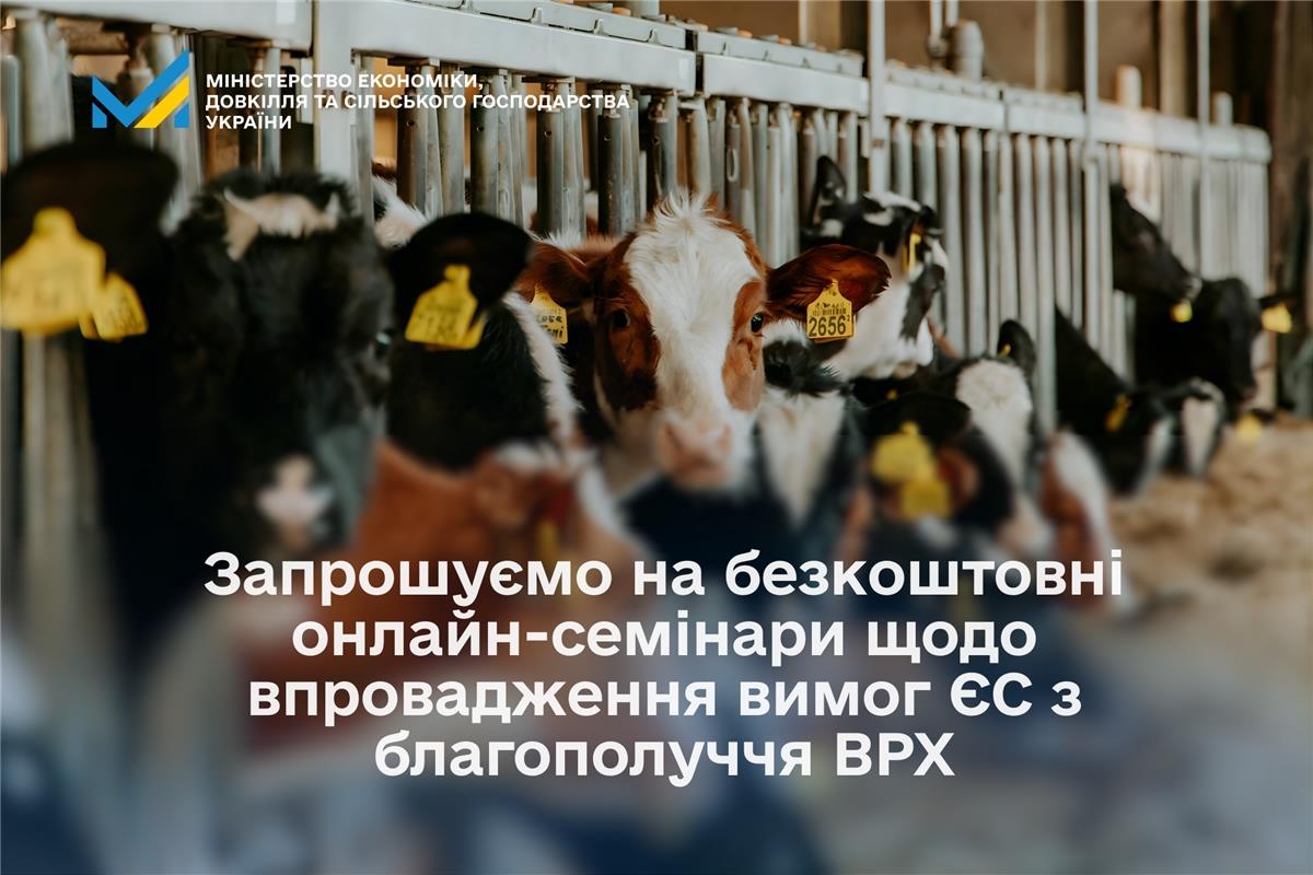 Запрошуємо на безкоштовні онлайн-семінари щодо впровадження вимог ЄС з благополуччя ВРХ