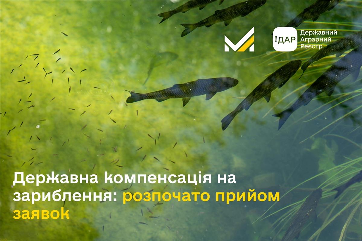 Державна компенсація на зариблення: розпочато прийом заявок 