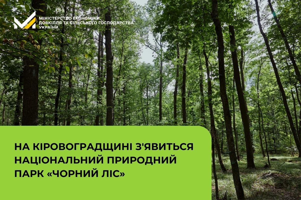 На Кіровоградщині з'явиться національний природний парк «Чорний Ліс»