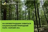 На Кіровоградщині з'явиться національний природний парк «Чорний Ліс»