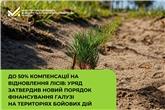 До 50% компенсації на відновлення лісів: Уряд затвердив новий порядок фінансування галузі