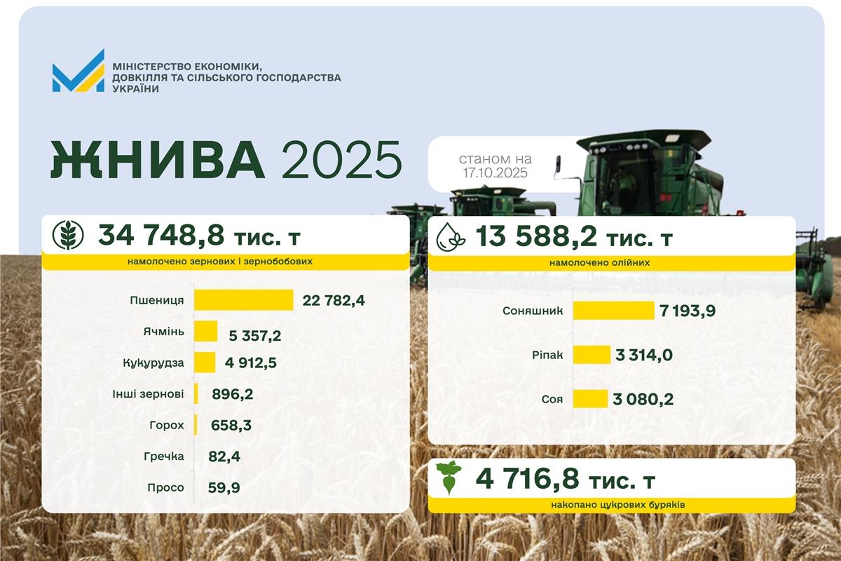 Жнива 2025: зібрано майже 35 млн тонн зернових та зернобобових та понад 13 млн тонн олійних культур