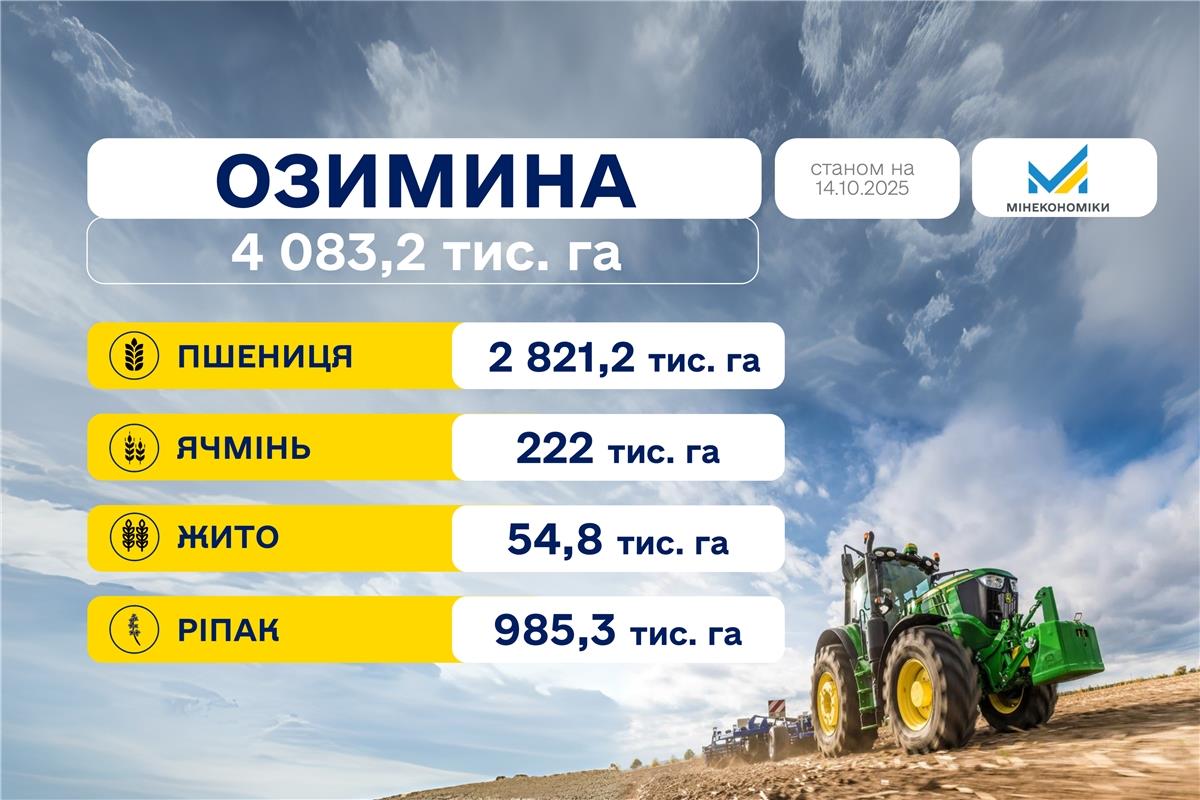 Посівна 2025: засіяно понад 4 млн га озимих культур