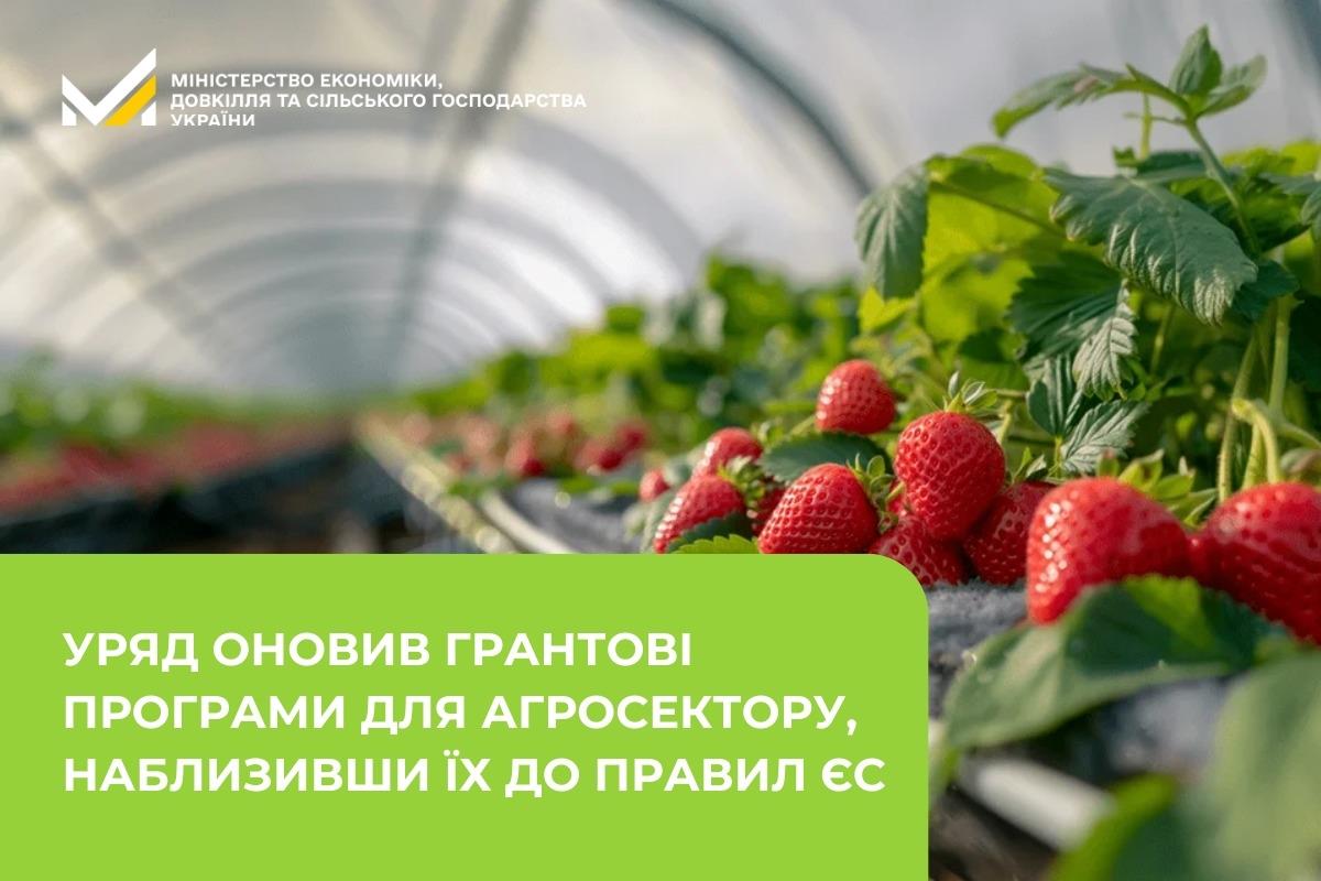 Уряд оновив грантові програми для агросектору, наблизивши їх до правил ЄС