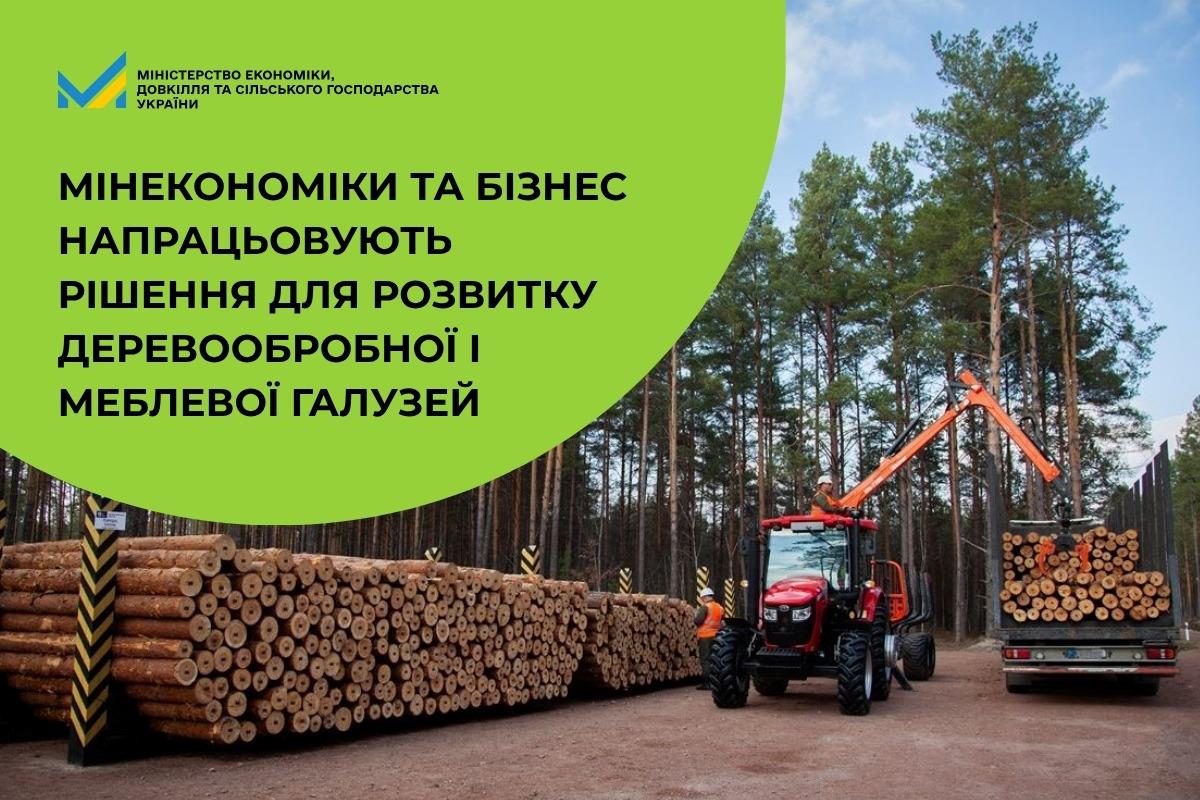 Мінекономіки та бізнес напрацьовують рішення для розвитку деревообробної і меблевої галузей