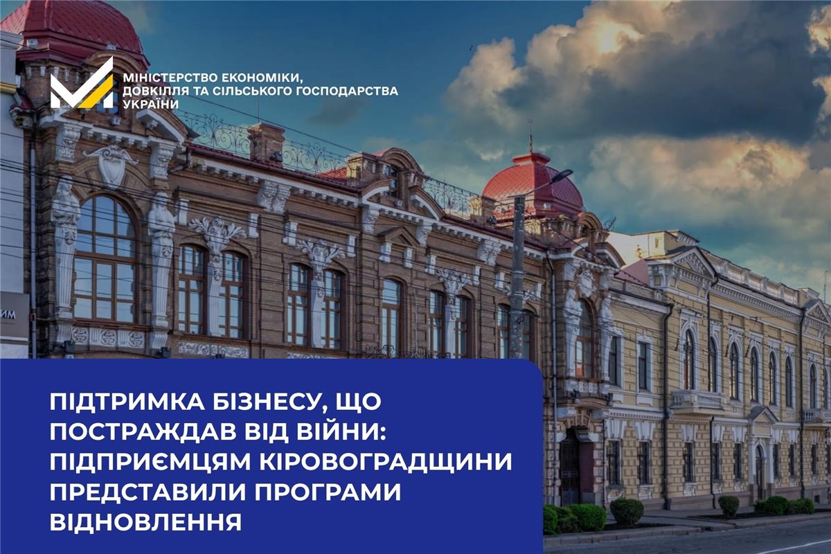 Підтримка бізнесу, що постраждав від війни: підприємцям Кіровоградщини представили державні програми відновлення