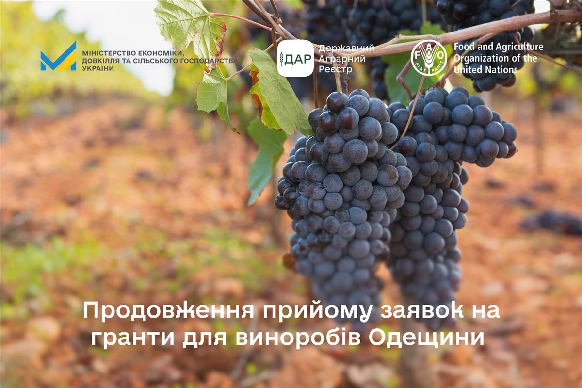 Продовження прийому заявок на гранти для виноробів Одещини