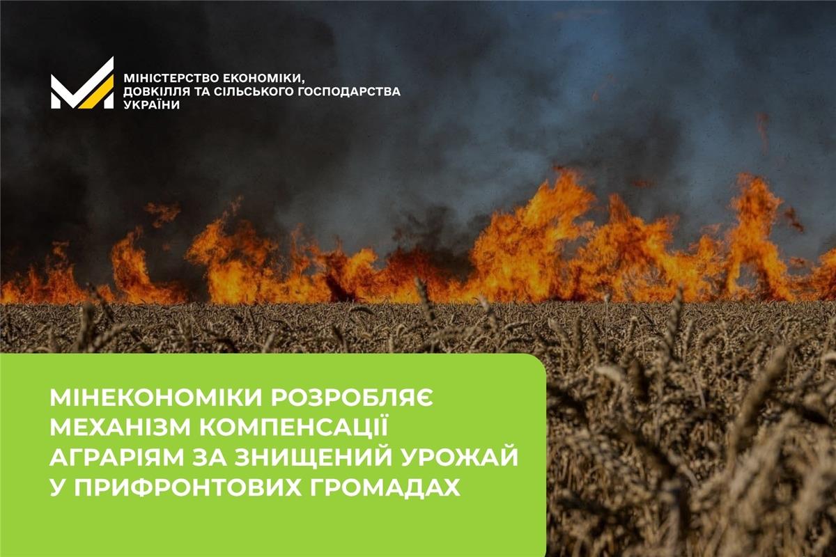 Тарас Висоцький: Мінекономіки розробляє механізм компенсації аграріям за знищений урожай у прифронтових громадах