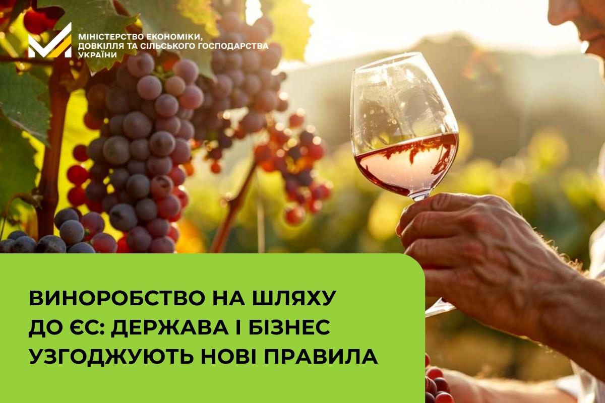 Виноробство на шляху до ЄС: держава і бізнес узгоджують нові правила 