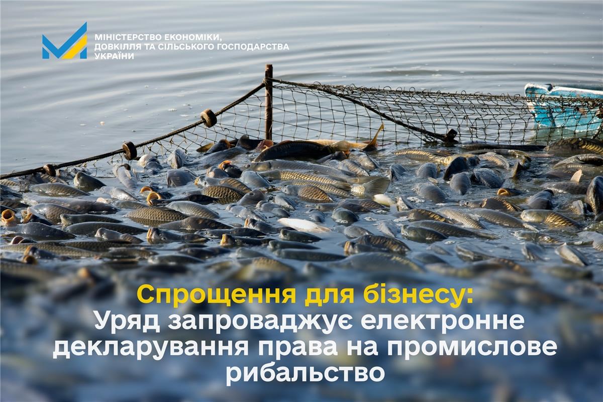 Спрощення для бізнесу: Уряд запроваджує електронне декларування права на промислове рибальство