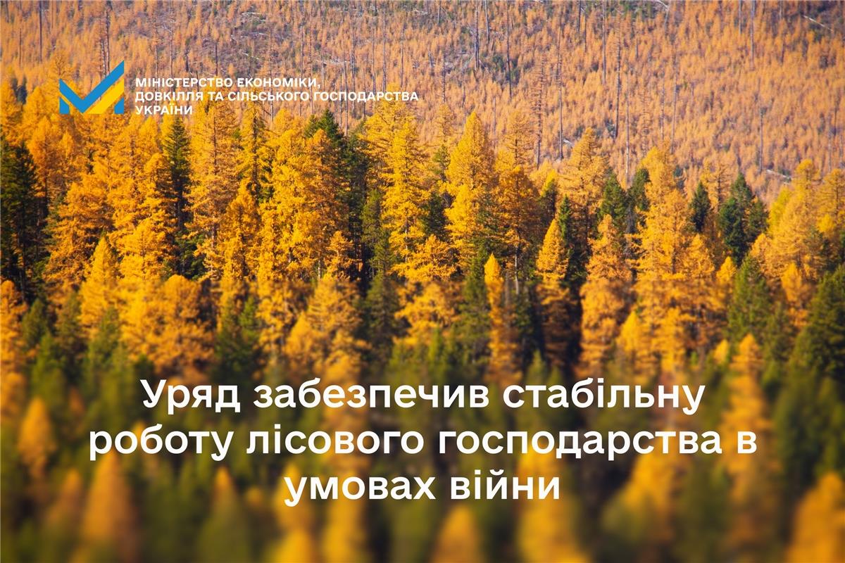 Уряд забезпечив стабільну роботу лісового господарства в умовах війни