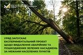 Уряд запускає експериментальний проєкт щодо видалення аварійних та пошкоджених зелених насаджень за межами населених пунктів